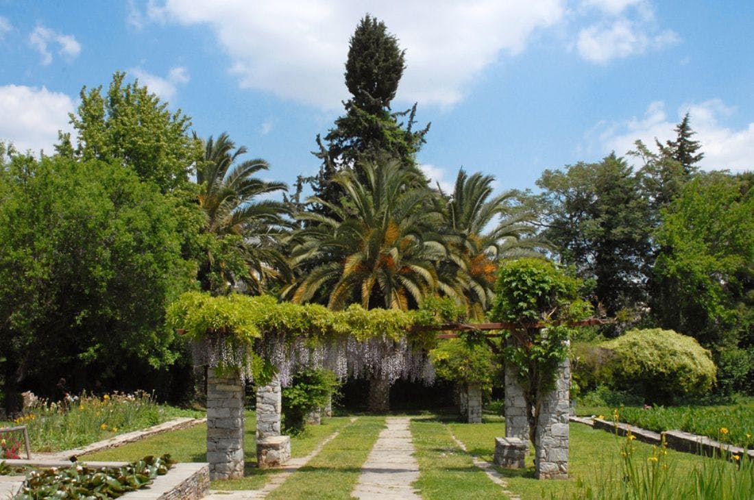 An image of Botanical Garden